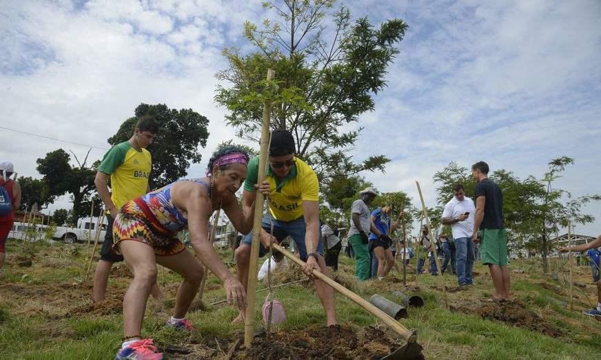 Programa ‘Floresta +’ irá impulsionar renda de quem protege as florestas