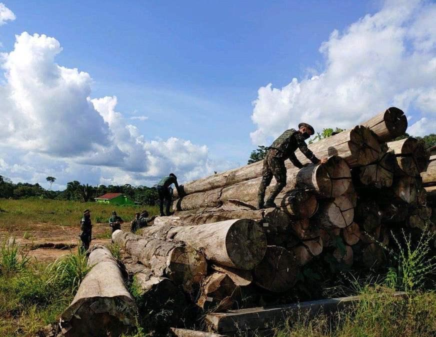 Amazonas tem redução de 12% em alertas de desmatamento no mês de junho