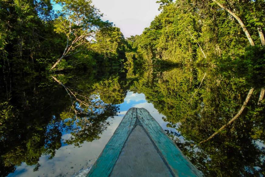 Empresários discutem a Amazônia
