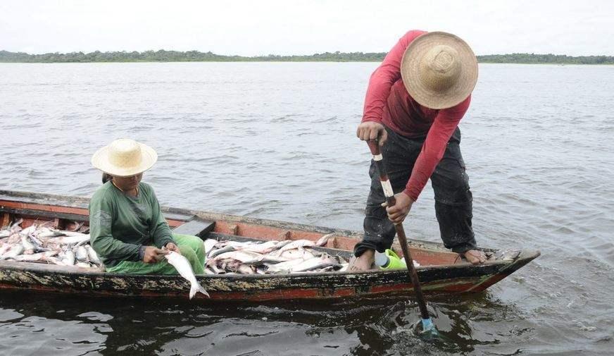 Bancada defenderá pescadores