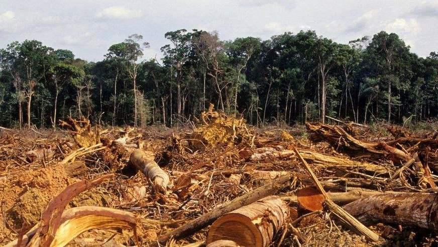 Urgência ambiental
