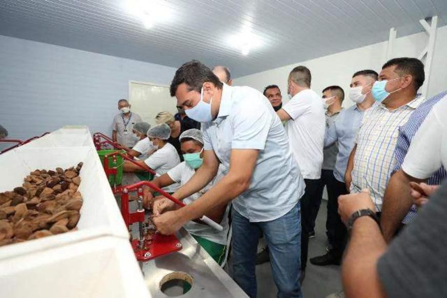 ‘Abufari’ aposta no extrativismo sustentável da castanha
