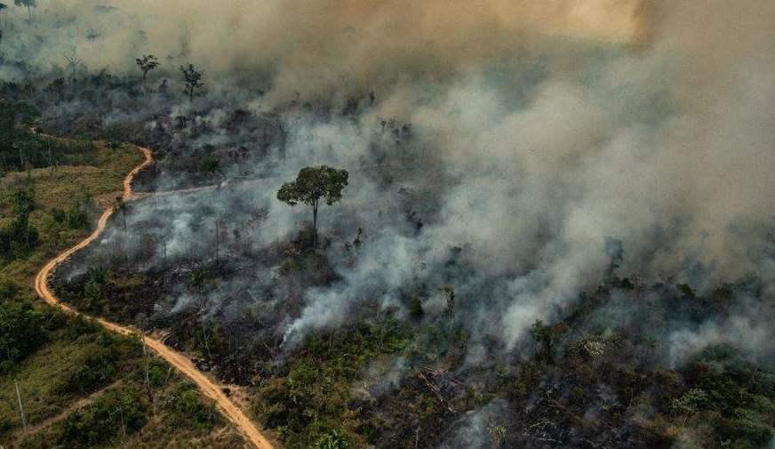 Bolsonaro diz que Amazônia não ‘arde’ em fogo