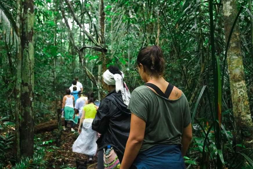 Amazônia-Edu abre inscrições para curso de imersão na floresta