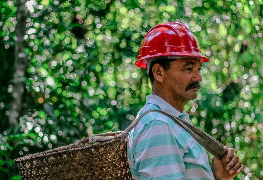 Amazon Day debate soluções para impulsionar economia verde na Amazônia