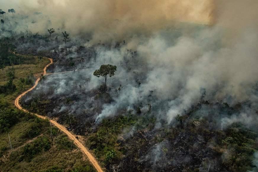 Com queimadas intensas na Amazônia, fumaça chega no Sul e Sudeste