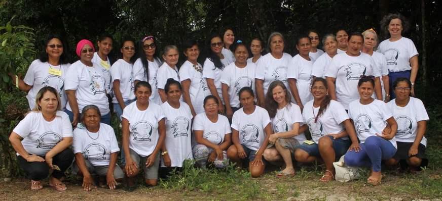 Poderes das ervas da Amazônia viram livro escrito por mulheres