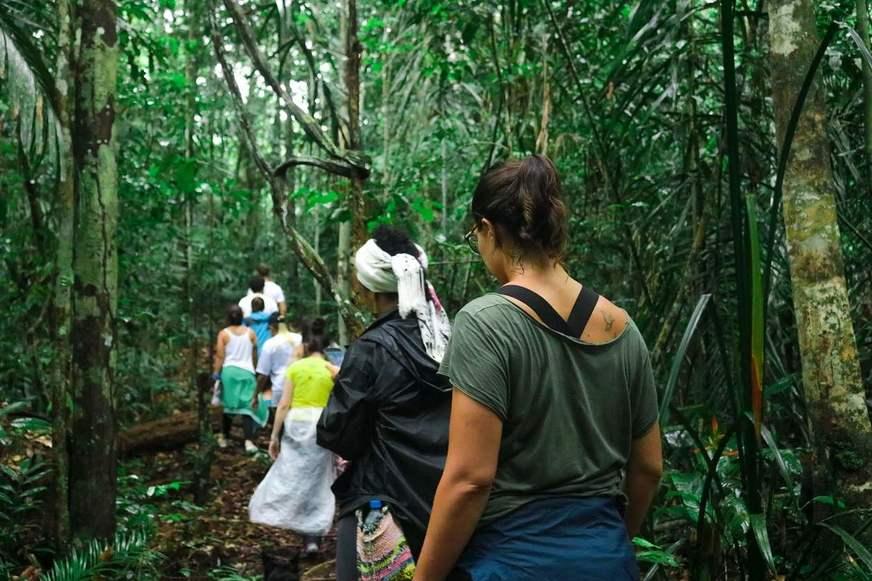 Curso de imersão na floresta é adiado para 2021 devido ao coronavírus