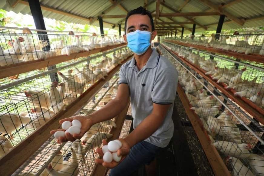 Cartão do produtor estimula crescimento do setor primário no Amazonas