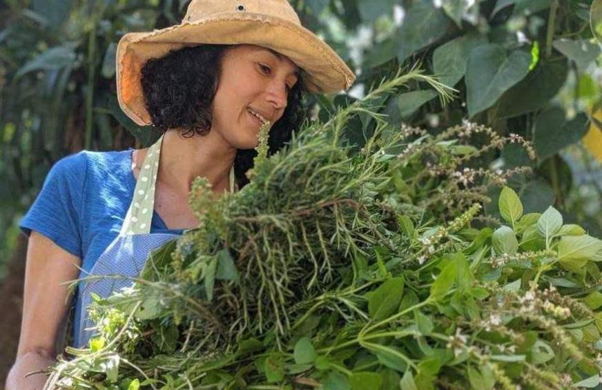Aromaterapia pode ser aliada na recuperação de doenças e transtornos