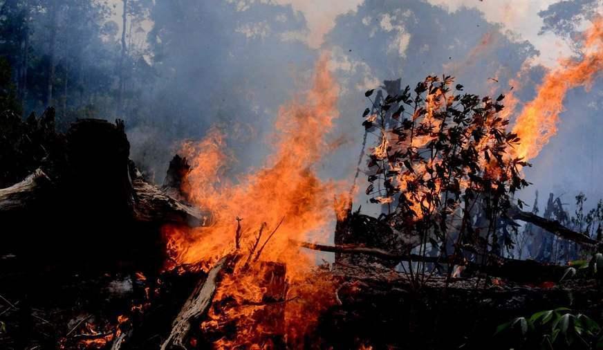 Incêndios na Amazônia brasileira aumentam em outubro