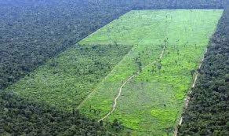 Retrocesso na política ambiental