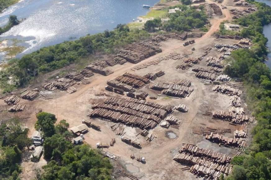Operação apreende a maior quantidade de madeira nativa da história