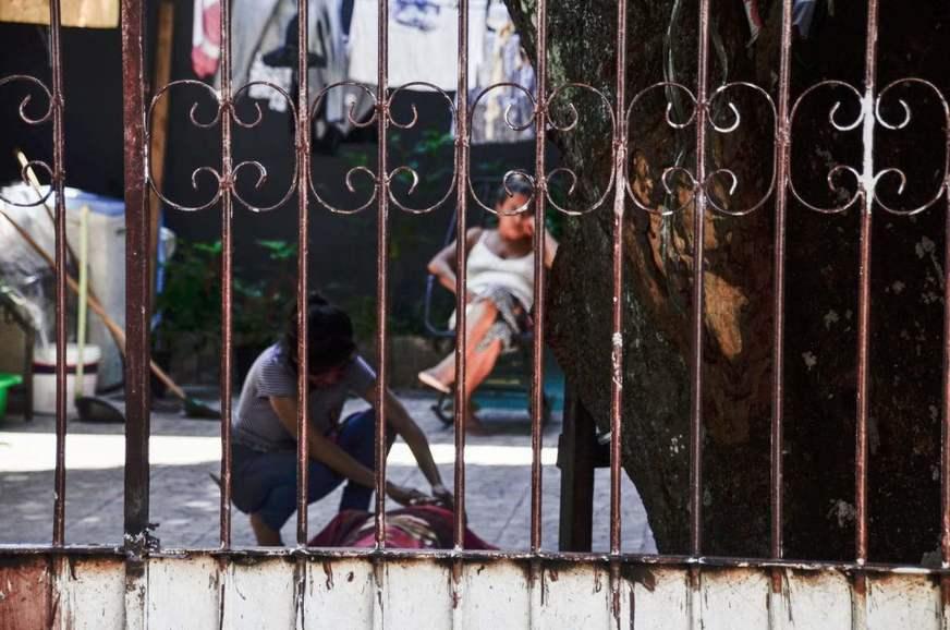 Homem morre ao cair de árvore e bater com a cabeça no chão