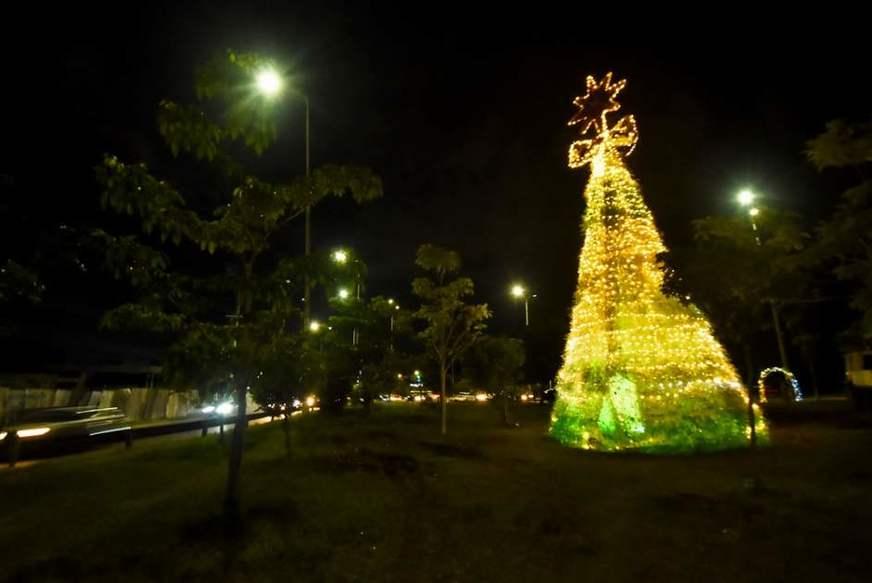 Zona Norte ganha árvore de material reciclável