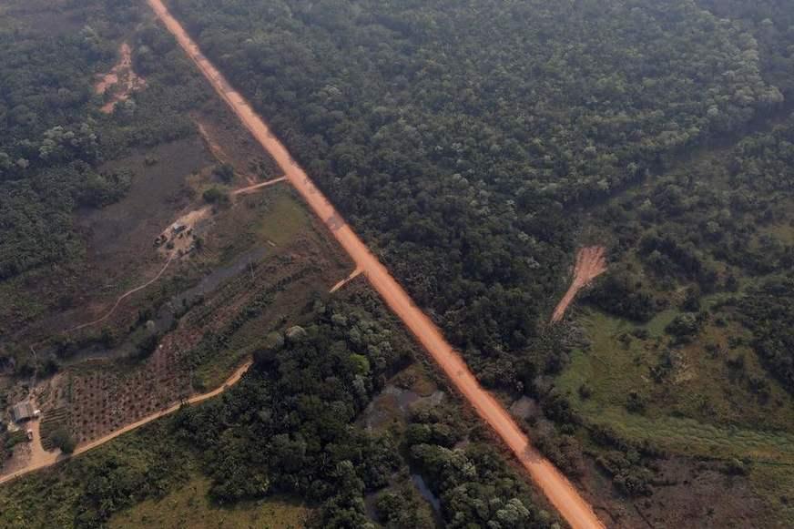 ‘A culpa não é da BR-319’, diz Observatório