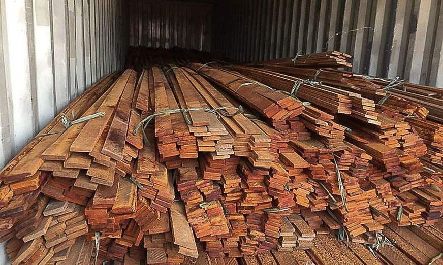 Operação da PF combate desmatamento ilegal na Floresta Amazônica