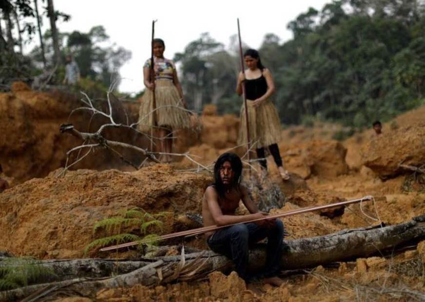 Multas ambientais brasileiras caem 20% à medida que o desmatamento aumenta