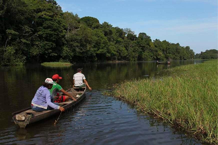 Projeto vai aliar preservação e geração de renda para comunidades da Amazônia