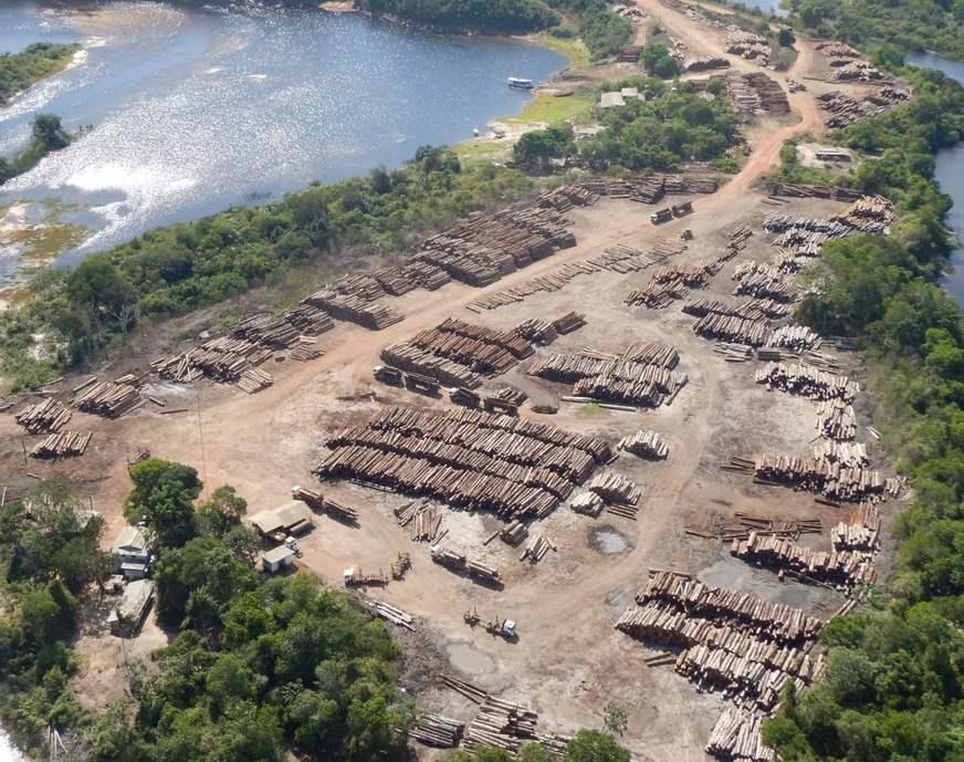 Alertas de desmatamento na Amazônia caem 70% em janeiro
