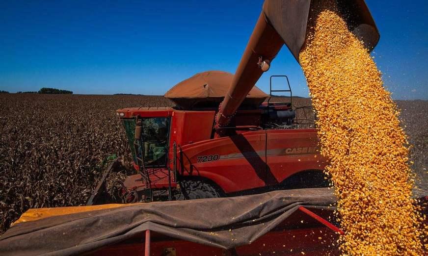 Valor da Produção Agropecuária deve ultrapassar R$ 1 tri em 2021
