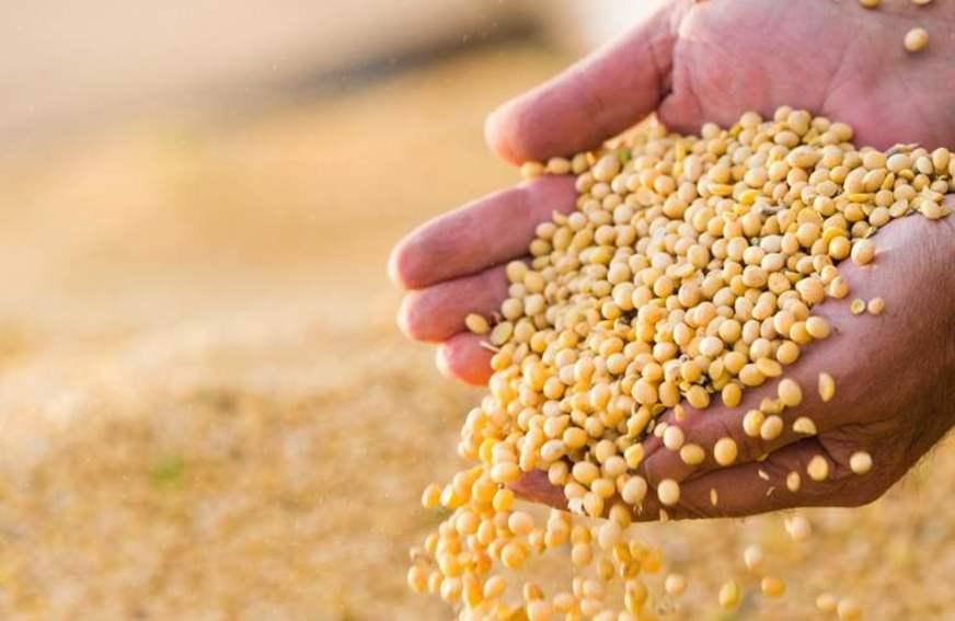 Custeio antecipado do agronegócio chega a R$ 12 bi