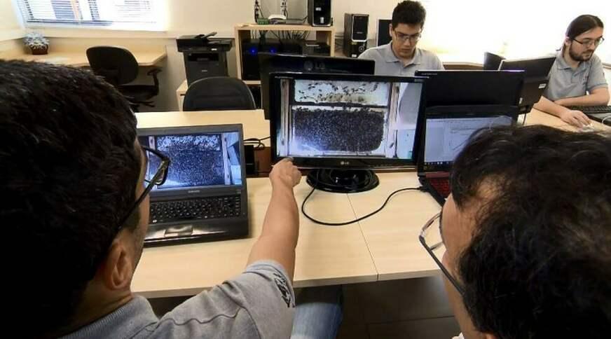 Curso on-line ensina programação básica para estudantes do ensino médio