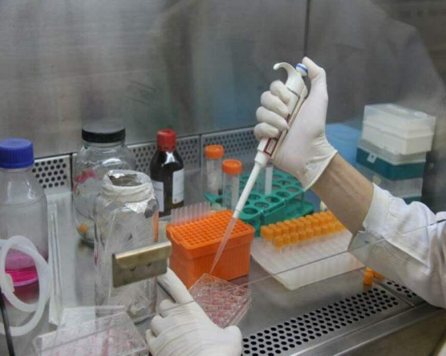 Ainda sem teste em humanos, Butantan inicia produção de sua vacina