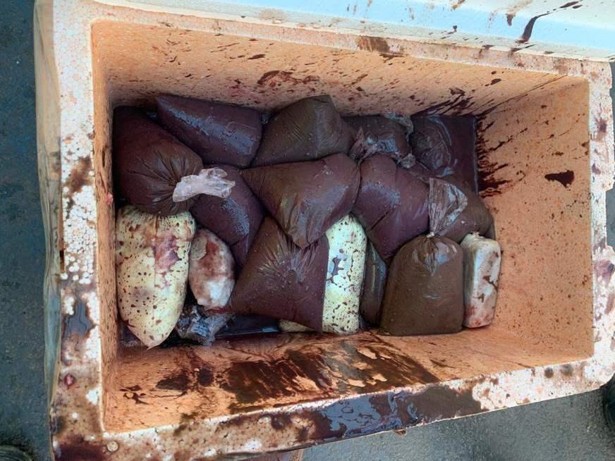 Polícia encontra drogas em pacotes de açaí e cupuaçu