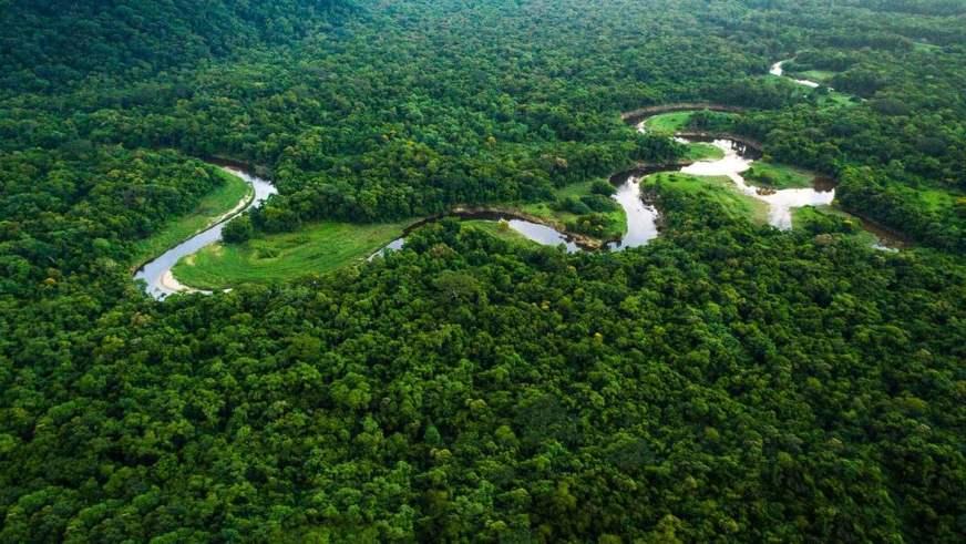 Preservação da Amazônia requer pesquisa e transparência de dados