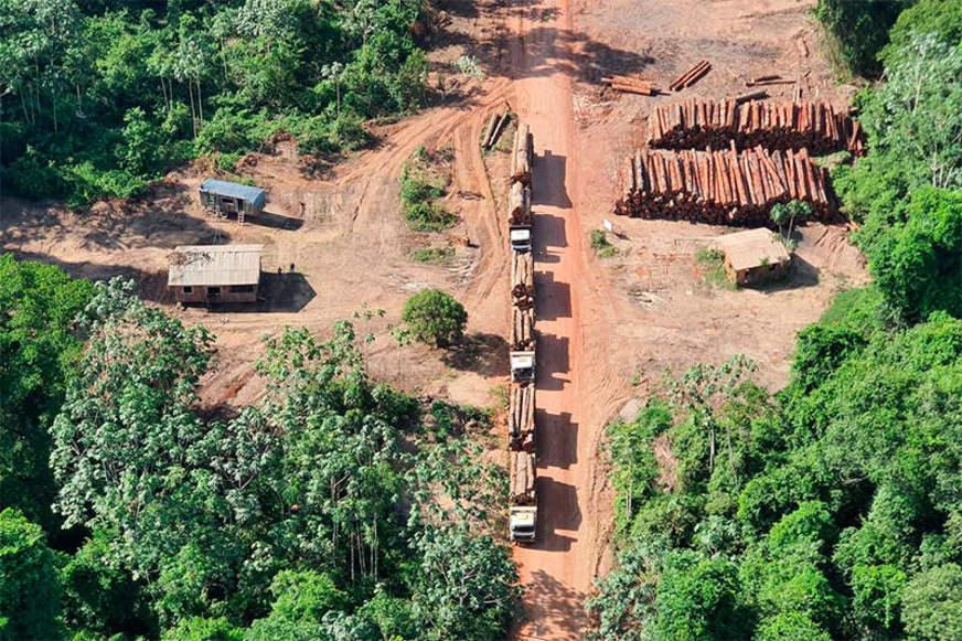 Os ataques à Amazônia