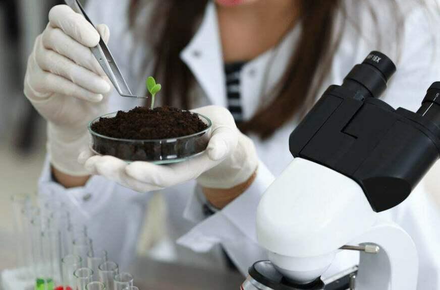 Bioeconomia amazônica terá rodada internacional de negócios em julho