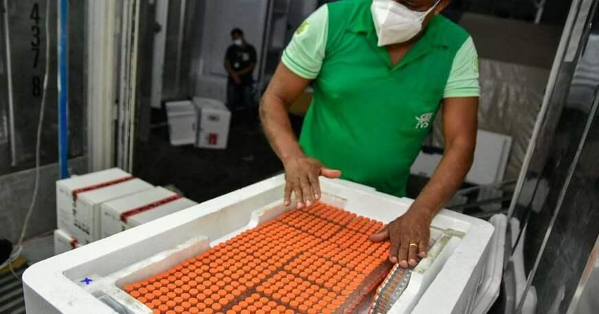 Discrepância na vacinação