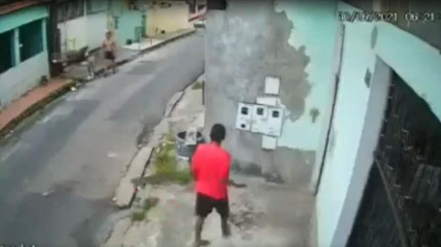 Câmera flagra homem agredindo animais em rua da Compensa