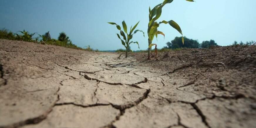 O papel do Brasil no dilema climático