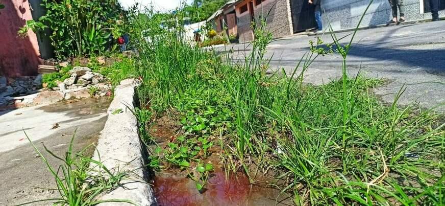 Jovem de 15 anos é executada com tiros na cabeça, na Zona Leste
