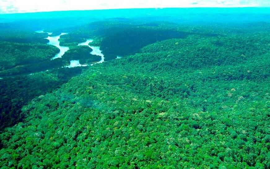 Esforços pela Amazônia