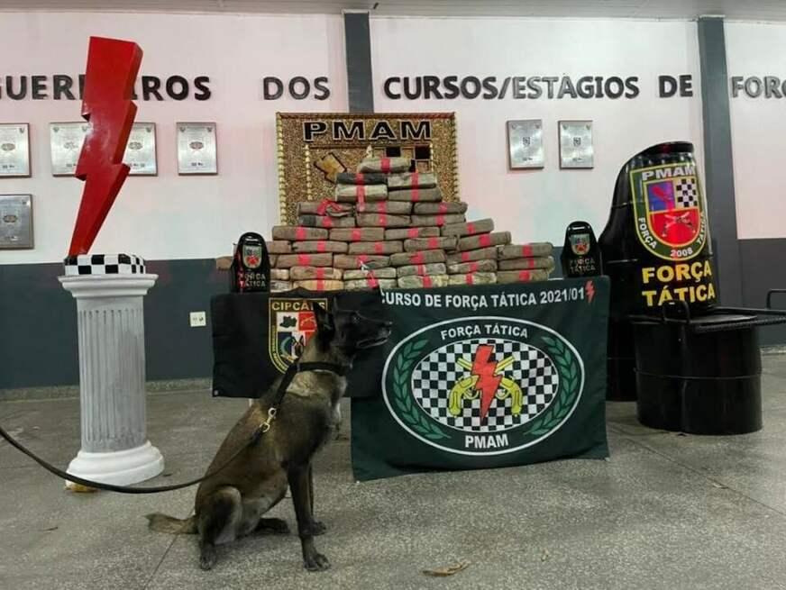 Força Tática e CIPCães apreendem 80 quilos drogas e detêm um homem na zona leste