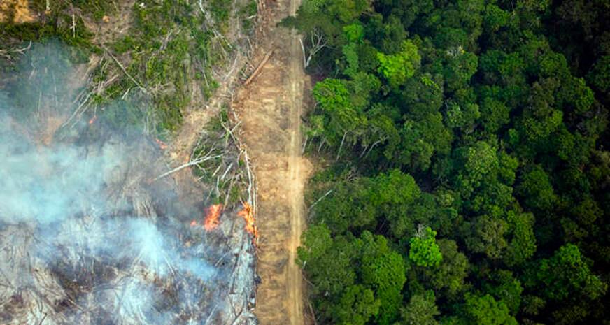 Eleitores com foco no meio ambiente