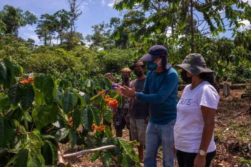 Programa Olhos da Floresta no Amazonas chega a 16 municípios