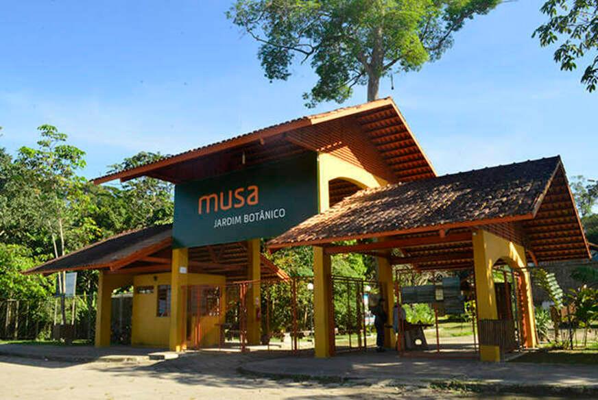A falta de segurança e a importância do Musa