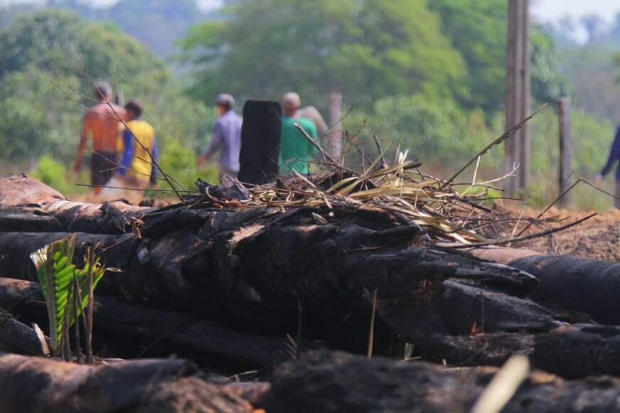 Os títulos do Amazonas denunciam os problemas
