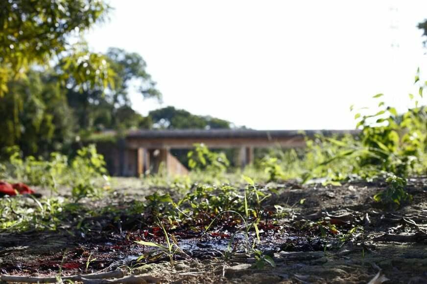 Catador de latinhas encontra corpo em terreno