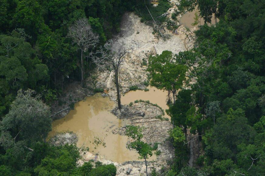 Amazônia vive epidemia de garimpo ilegal, afirma Greenpeace