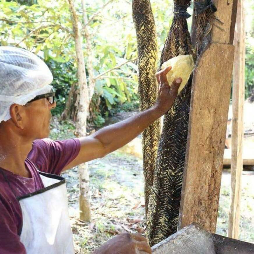 Amazonense desenvolve farinha de mandioca orgânica para celíacos e atletas
