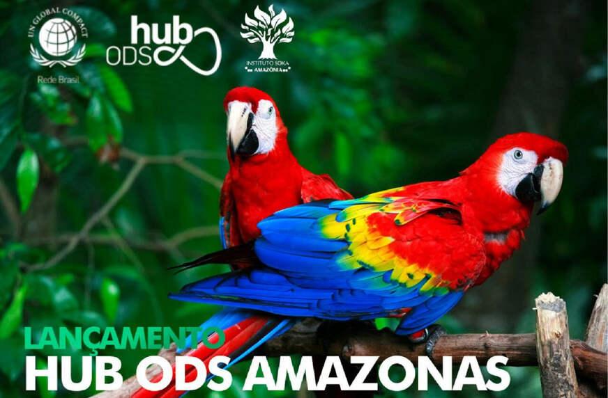 Amazonas sedia o primeiro HUB ODS da Amazônia