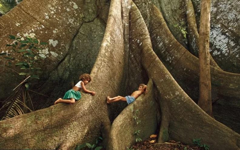 Reinvenção a partir da Amazônia