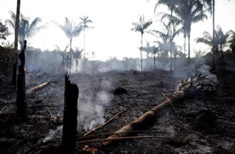Desmatamento bate recorde em abril na Amazônia