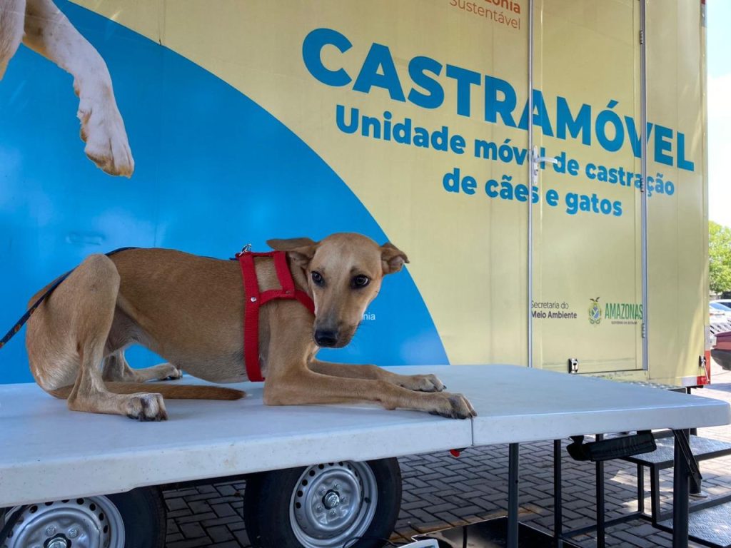 Itacoatiara recebe no fim de semana os atendimentos do Castromóvel