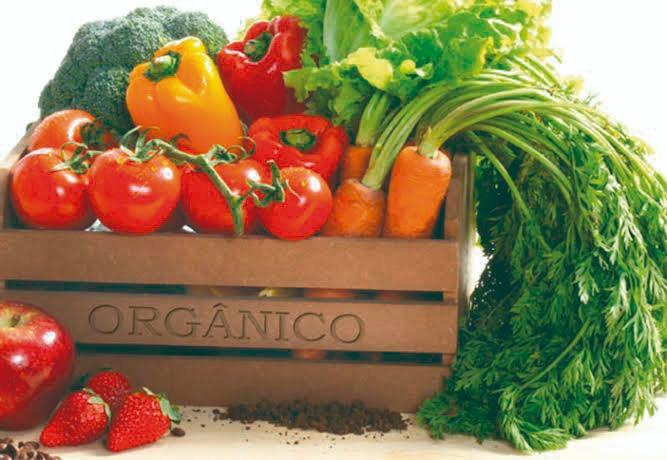 Alimentos orgânicos: menos calóricos ou não?